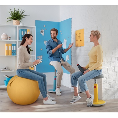 Leitz Ergo Cosy Active sivá