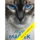 Atlas mačiek
