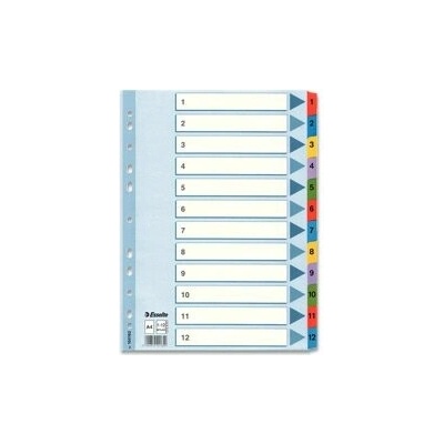 Esselte Mylar - kartonový rozlišovač - 12 listů, se štítky 1-12 100162 A4