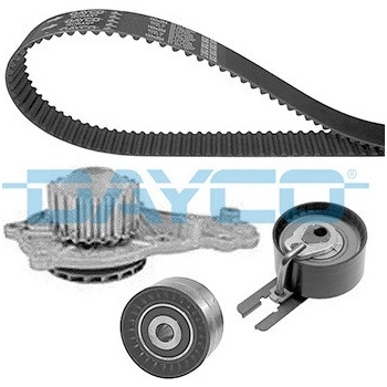 DAYCO KTBWP3100