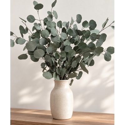 Stabilizovaný eukalyptus populus, kytice/svazek zelených větviček 120g