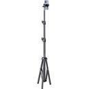 Wozinsky Wrld-00Y1S