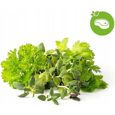 Click and Grow Smart Garden Mix sazenic pro steaky a grilování
