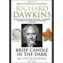 Brief Candle in the Dark