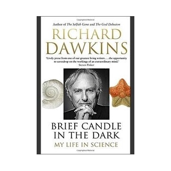 Brief Candle in the Dark