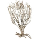 Lucky Reptile Savannah Bush 40 cm