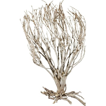 Lucky Reptile Savannah Bush 40 cm