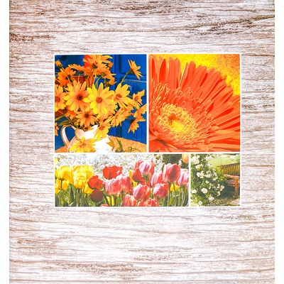 SAMOLEPÍCÍ album 100 stran DRS50 Incolor 1