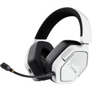 Trust GXT 493PS