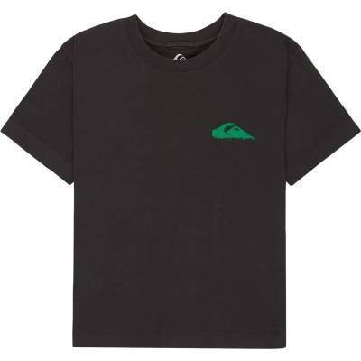 Quiksilver Дамска тениска Quiksilver Women's Standard S/S Tee T-shirt - Tarmac (916-7077-0312)