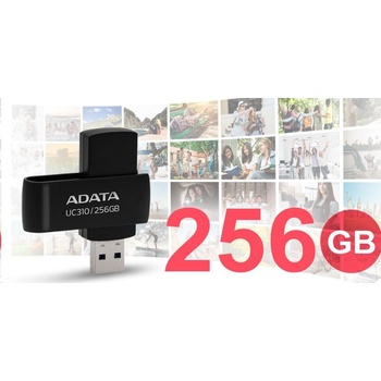ADATA UC310 256GB UC310-256G-RBK
