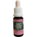 PHI Essences Успокоява ума - Есенция Див морков, капки 15 ml (40 WILD)