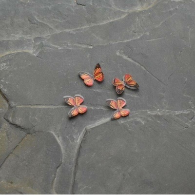 - Kabošon motýlek 9x11mm - oranžový 20 ks