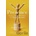 Presence - Amy Cuddy