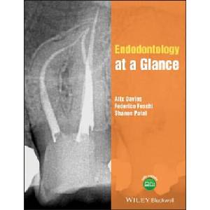 Endodontology at a Glance | Alix Davies, Federico Foschi, Shanon Patel (ISBN: 9781118994702)