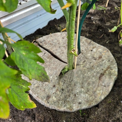 Videx Garden Videx Garden Prírodná záhradná vlna Mary's Disc, 37 cm