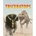 Triceratops - Rob Shone