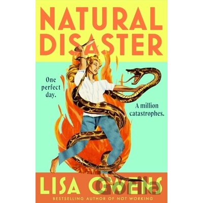 Natural Disaster - Lisa Owens