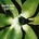 Depeche Mode - Exciter