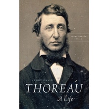 Henry David Thoreau Walls Laura Dassow