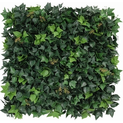 HEDERA BLOOM, dielec 50 x 50 cm