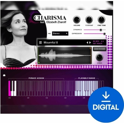 Impact Soundworks Charisma Volume 1 (Digitálny produkt)