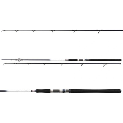 Daiwa Grandwave Cod 2,4 m 150-300 g 2 Diely