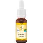 Lemon Pharma Wild Rose Цветна есенция N°37, 20 ml, Lemon Pharma (181373 LP)