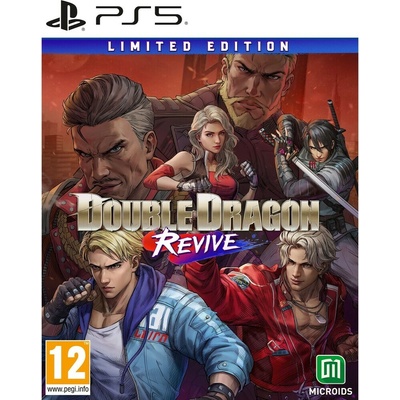 Double Dragon Revive (Limited Edition)