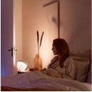 Image 1 of Philips Hue IRIS LED RGB (P3950)