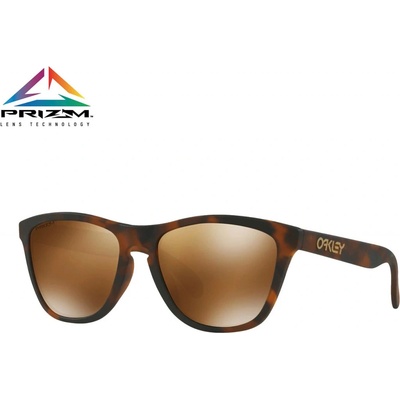 Oakley Frogskins OO9013-C5