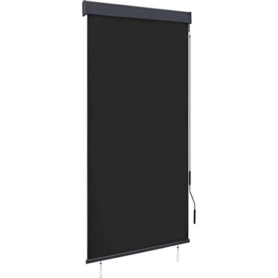 vidaXL Външна ролетна щора, 100x250 см, антрацит (145958)