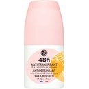 Yves Rocher Bain Nature Chamomile 48h roll-on 50 ml