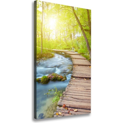 Vertikálny foto obraz na plátne Chodník v lese 50x100 cm