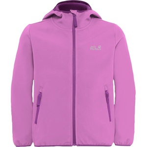 Jack Wolfskin Детско софтшел яке Jack Wolfskin Kid's Fourwinds Jacket Softshell jacket - Foxglove - размер 164 (EU) (703-5261-1316)