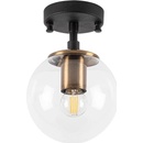 ASIR 10205