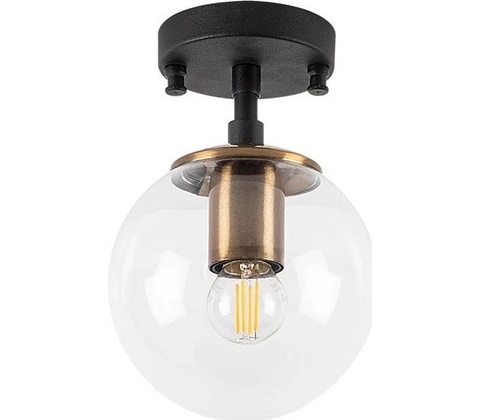 ASIR 10205