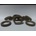 Compatible Зъбно колело за UFR 38T, Toshiba, e-Studio 168, 41306341000, 6LA5501800, 6LE95885000, 6LA84182000 (41306341000)