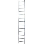 Bisonte STR113 13 step (BT1006296)