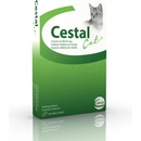 Cestal žuvacie tablety pre mačky 80 mg / 20 mg 8 tbl
