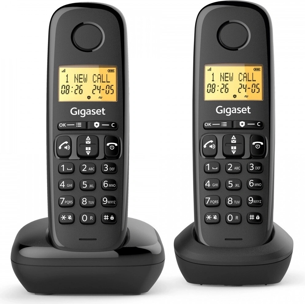 GIGASET Basic 100 Duo
