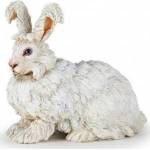Papo Angora crolik