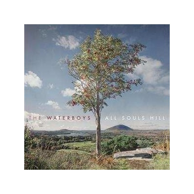 The Waterboys - All Souls Hill LP