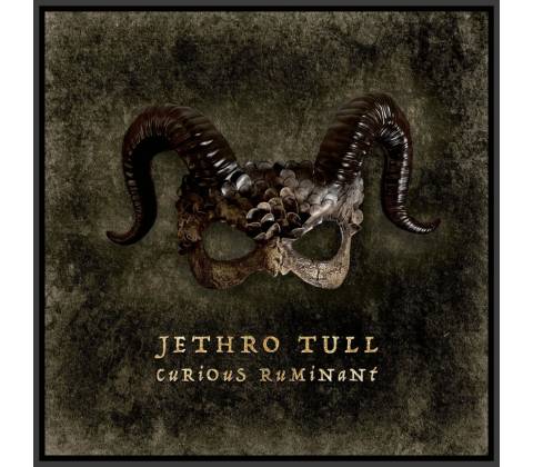 Jethro Tull Curious Ruminant 1 CD