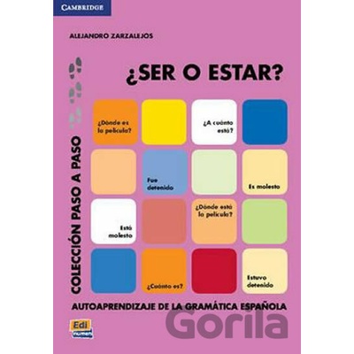 Ser o estar - Alejandro Zarzalejos Alonso