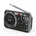 AKAI APR-500BK РАДИО FM АУДИО ДИСТРИБУТОР (APR-500BK)