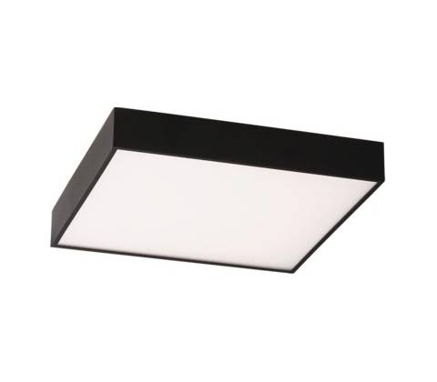 ACB P3973070N