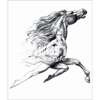 Milena Style Порив - гоблен със схема конци dmc 1: 1