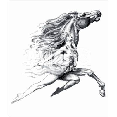 Milena Style Порив - гоблен със схема конци dmc 1: 1