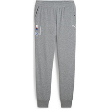 Puma BMW MMS Sweat grey